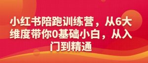 小红书陪跑训练营，从6大维度带你0基础小白，从入门到精通-虚拟资源库