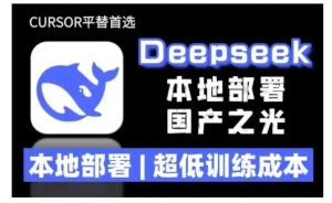 2025年deepseek R1 大型模型本地安装部署(文件+教程)本地部署,超低训练成本-虚拟资源库