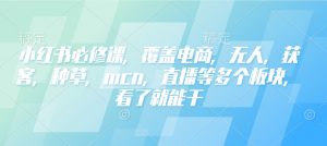 小红书必修课，覆盖电商，无人，获客，种草，mcn，直播等多个板块，看了就能干-虚拟资源库