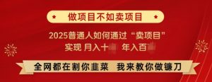 必看，做项目不如卖项目，2025普通人如何通过“卖项目”实现月入十个，年入百个-虚拟资源库