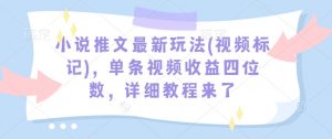 小说推文最新玩法(视频标记)，单条视频收益四位数，详细教程来了-虚拟资源库