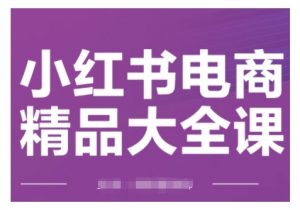 小红书电商精品大全课,快速掌握小红书运营技巧,实现精准引流与爆单目标,轻松玩转小红书电商(更新2月)-虚拟资源库
