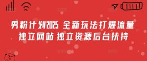 男粉计划2025 全新玩法打爆流量 独立网站 独立资源后台扶持【揭秘】-虚拟资源库