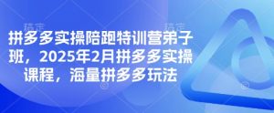 拼多多实操陪跑特训营弟子班,2025年2月拼多多实操课程,海量拼多多玩法-虚拟资源库