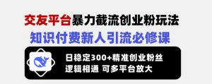交友平台暴力截流创业粉玩法,知识付费新人引流必修课,日稳定300+精准创业粉丝,逻辑相通可多平台放大-虚拟资源库