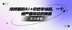 视频号的AI+中老年情感，一个被严重低估的赛道-虚拟资源库
