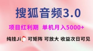 搜狐音频挂ji3.0.可矩阵可放大,独家技术,稳定月入5000+【揭秘】-虚拟资源库