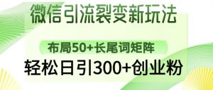 微信引流裂变新玩法:布局50+长尾词矩阵,轻松日引300+创业粉-虚拟资源库