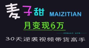 麦子甜30天逆袭视频带货高手,单月变现6W加特训营-虚拟资源库