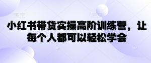 小红书带货实操高阶训练营，让每个人都可以轻松学会-虚拟资源库