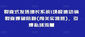 裂变式发售增长系统1场极速动销裂变爆破陪跑(闯关实操营),引爆私域流量-虚拟资源库