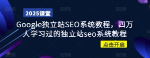 Google独立站SEO系统教程,四万人学习过的独立站seo系统教程-虚拟资源库
