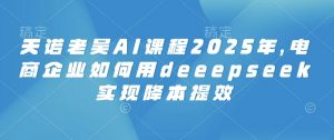 天诺老吴AI课程2025年，电商企业如何用deeepseek实现降本提效-虚拟资源库