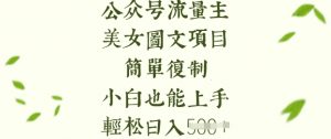 流量主长期收益项目,美女图片简单复制,小白也能上手,轻松日入5张-虚拟资源库