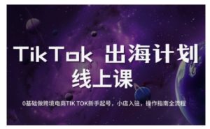 TikTok跨境电商新手起号与运营全攻略,0基础做跨境电商TIKTOK新手起号,小店入驻,操作指南全流程-虚拟资源库