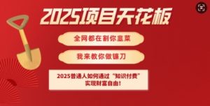 2025项目天花板普通人如何通过知识付费,实现财F自由【揭秘】-虚拟资源库