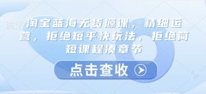 淘宝蓝海无货源课，精细运营，拒绝短平快玩法，拒绝简短课程凑章节-虚拟资源库