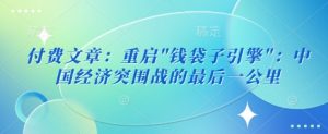 付费文章:重启”钱袋子引擎”:中国经济突围战的最后一公里-虚拟资源库