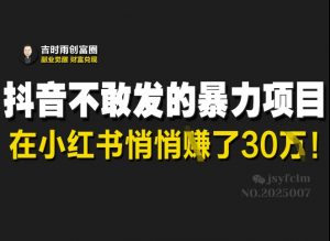 抖音不敢发的暴利项目,在小红书悄悄挣了30W-虚拟资源库