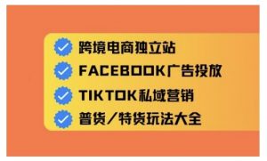 跨境电商独立站及全域流量营销,从0基础快速入门并精通跨境电商运营-虚拟资源库