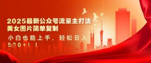 2025最新公众号流量主打法,美女图片简单复制,小白也能上手,轻松日入5张-虚拟资源库