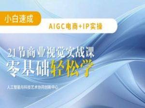 AIGC电商必备实操:21节平面设计实战课,教你玩转AI-虚拟资源库