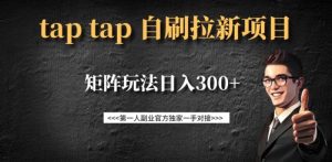 taptap拉新自刷项目，一个新用户14元，矩阵玩法日入300+-虚拟资源库