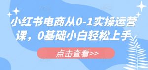 小红书电商从0-1实操运营课,0基础小白轻松上手-虚拟资源库