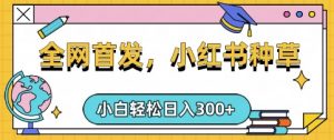 小红书种草,手机项目,日入3张,复制黏贴即可,可矩阵操作,动手不动脑【揭秘】-虚拟资源库