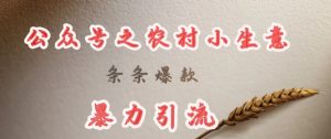 deepseek写农村小项目,条条爆款,暴力引流-虚拟资源库