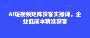 AI短视频矩阵获客实操课,企业低成本精准获客-虚拟资源库