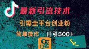 最新引流方法,引爆全平台的一个创业粉,简单操作日引300+-虚拟资源库