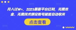 月入过W+,2025最新平台红利,无需本金、无需技术绑定账号就能自动收米-虚拟资源库