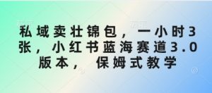私域卖壮锦包,一小时3张,小红书蓝海赛道3.0版本, 保姆式教学-虚拟资源库