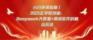 小白逆袭指南,2025玄学轻创业:Deepseek大数据+周易算法的融合玩法-虚拟资源库