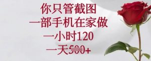 你只管截图,一部手机在家做,一小时120.一天5张【揭秘】-虚拟资源库