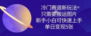 冷门赛道新玩法,只需要搬运图片,新手小白可快速上手,单日变现多张-虚拟资源库