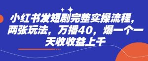 小红书发短剧完整实操流程,两张玩法,万播40,爆一个一天收收益上千-虚拟资源库