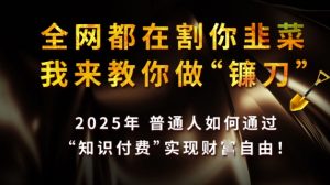 全网都在割你韭菜,我来教你做镰刀,2025普通人如何通过知识付费,实现财F自由【揭秘】-虚拟资源库