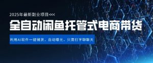 【闲鱼全自动电商带货】三年磨一剑,一朝露锋芒,长期稳定项目,单日稳定变现5张【揭秘】-虚拟资源库