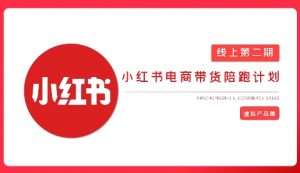 2025小红书虚拟电商实战课，从0到1打造无货源店铺，AI+爆款笔记轻松变现-虚拟资源库