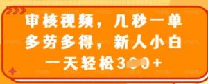 审核视频,几秒一单,多劳多得,新人小白一天轻松3张【揭秘】-虚拟资源库