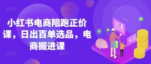 小红书电商陪跑正价课,小红书官方认证电商讲师教学,日出百单选品,电商掘进课-虚拟资源库