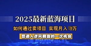2025蓝海项目,普通人如何通过卖项目,实现月入过W,全过程【揭秘】-虚拟资源库
