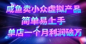 咸鱼卖小众虚拟产品，简单易上手，单店一个月利润破W-虚拟资源库