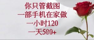 你只管截图，一部手机在家操作，一小时120.一天5张【揭秘】-虚拟资源库