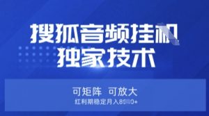 【搜狐音频挂G】独家技术,可矩阵可放大,红利期稳定月入8k【揭秘】-虚拟资源库