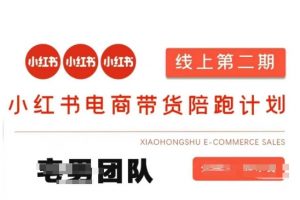 小红书电商带货课2期,月利润20个的小红书电商的有货源,无货源,虚拟产品,付费投流等整套玩法-虚拟资源库