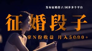 发布征婚段子,同步多个平台,拿N份收益,月入5k-虚拟资源库