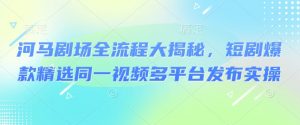 河马剧场全流程大揭秘，短剧爆款精选同一视频多平台发布实操-虚拟资源库